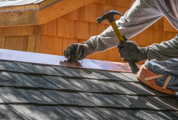 Best Solar Panel Roofing Installation  in Clarence, IA