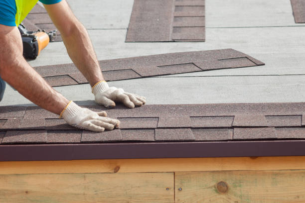 Best Skylight Installation and Repair  in Clarence, IA